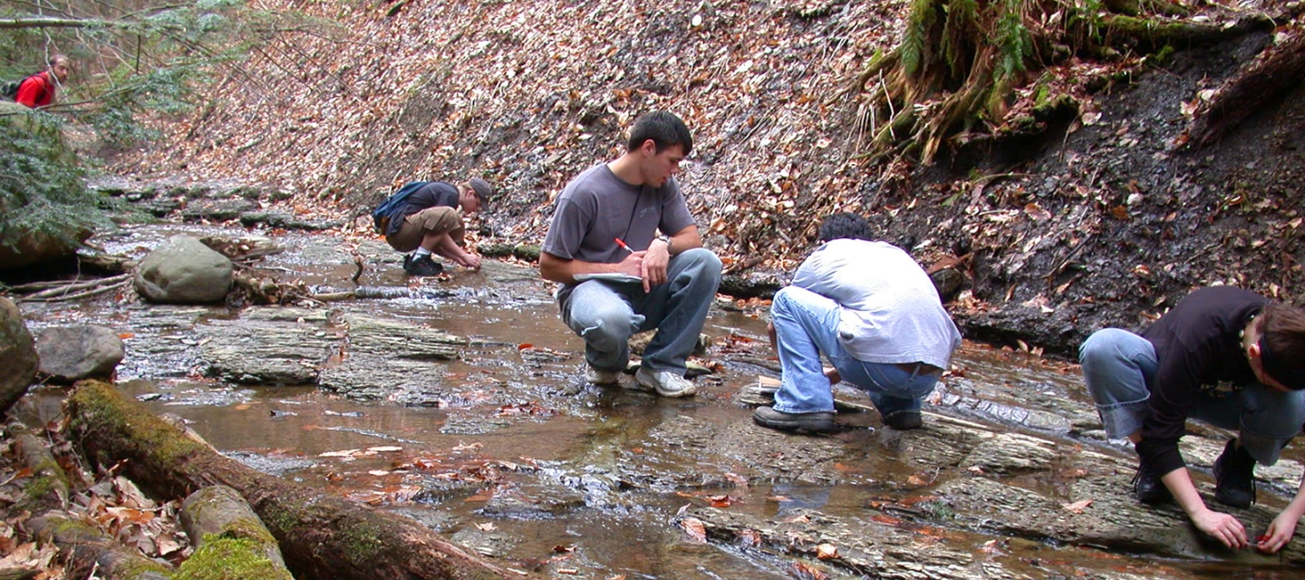 Students doing field work